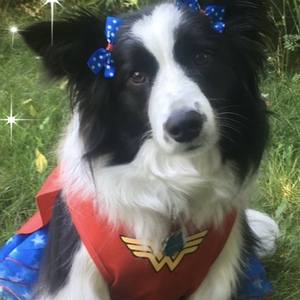 Fundraising Page: Beverly Bulock